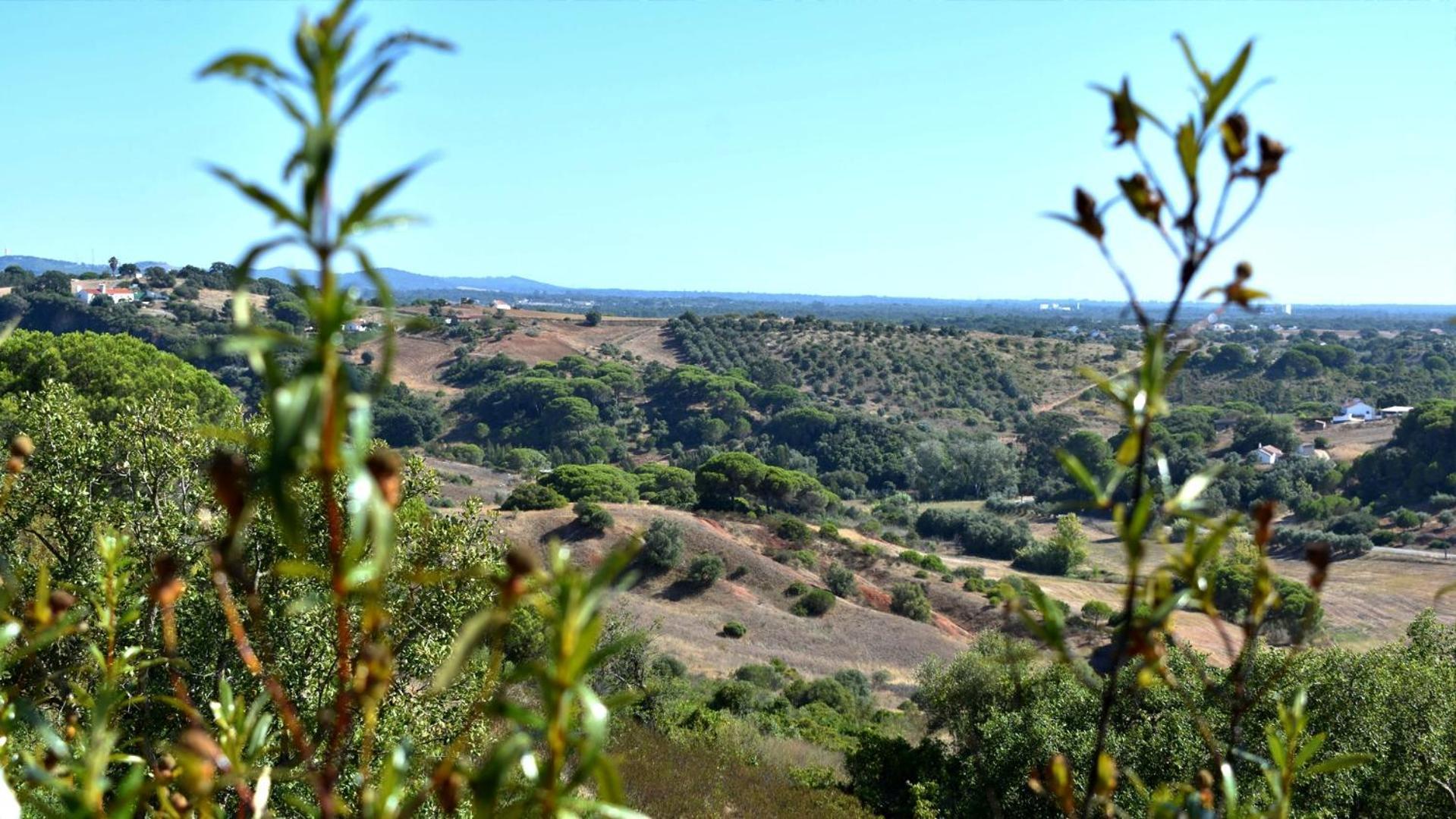 Monte Sardinha Pensionat Santiago do Cacém Exteriör bild